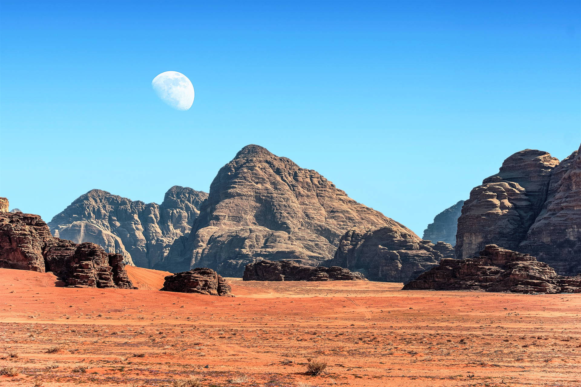 Wadi Rum - wycieczka na Marsa 