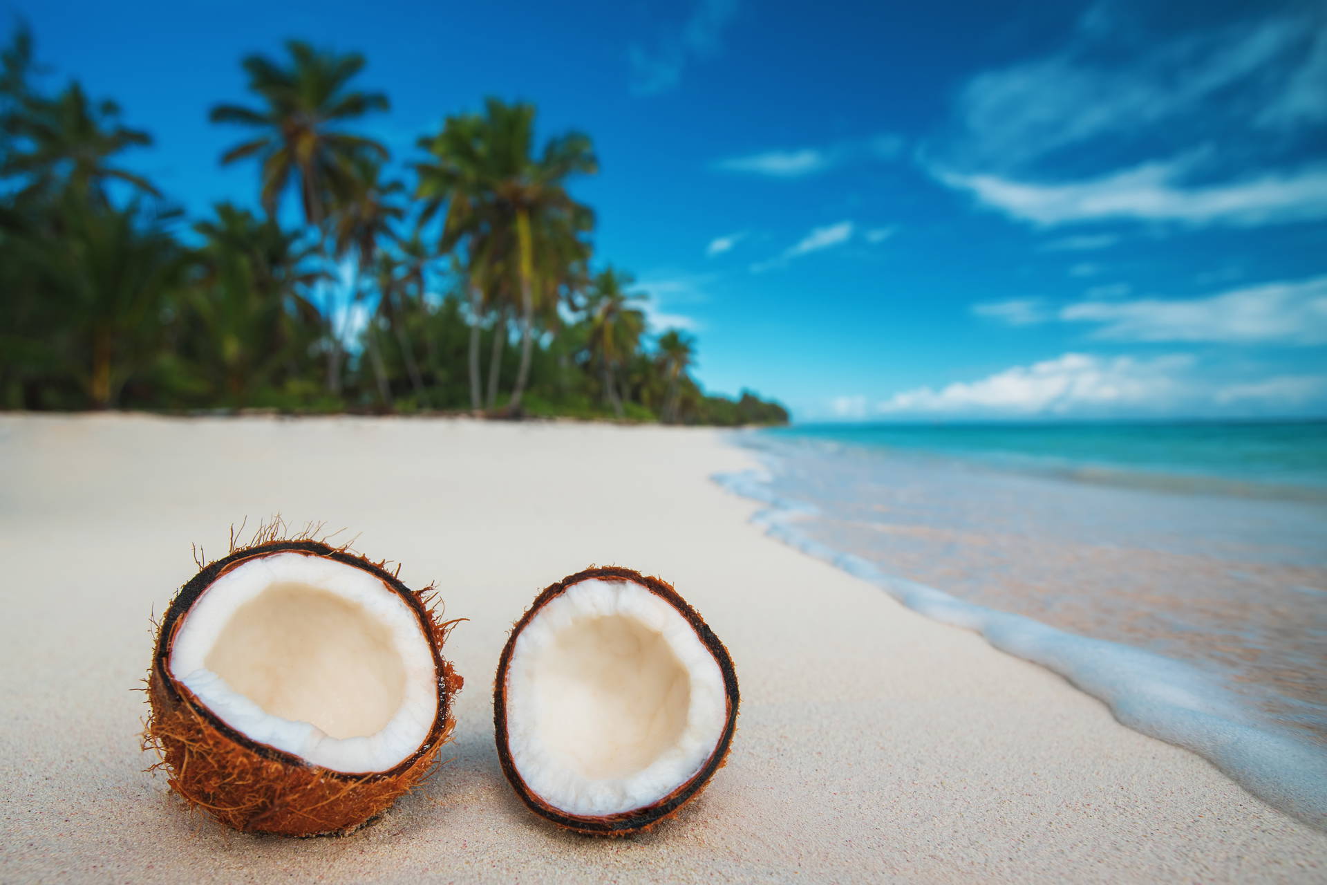 Połówki kokosa na plaży, w tle palmy i błękitne niebo.