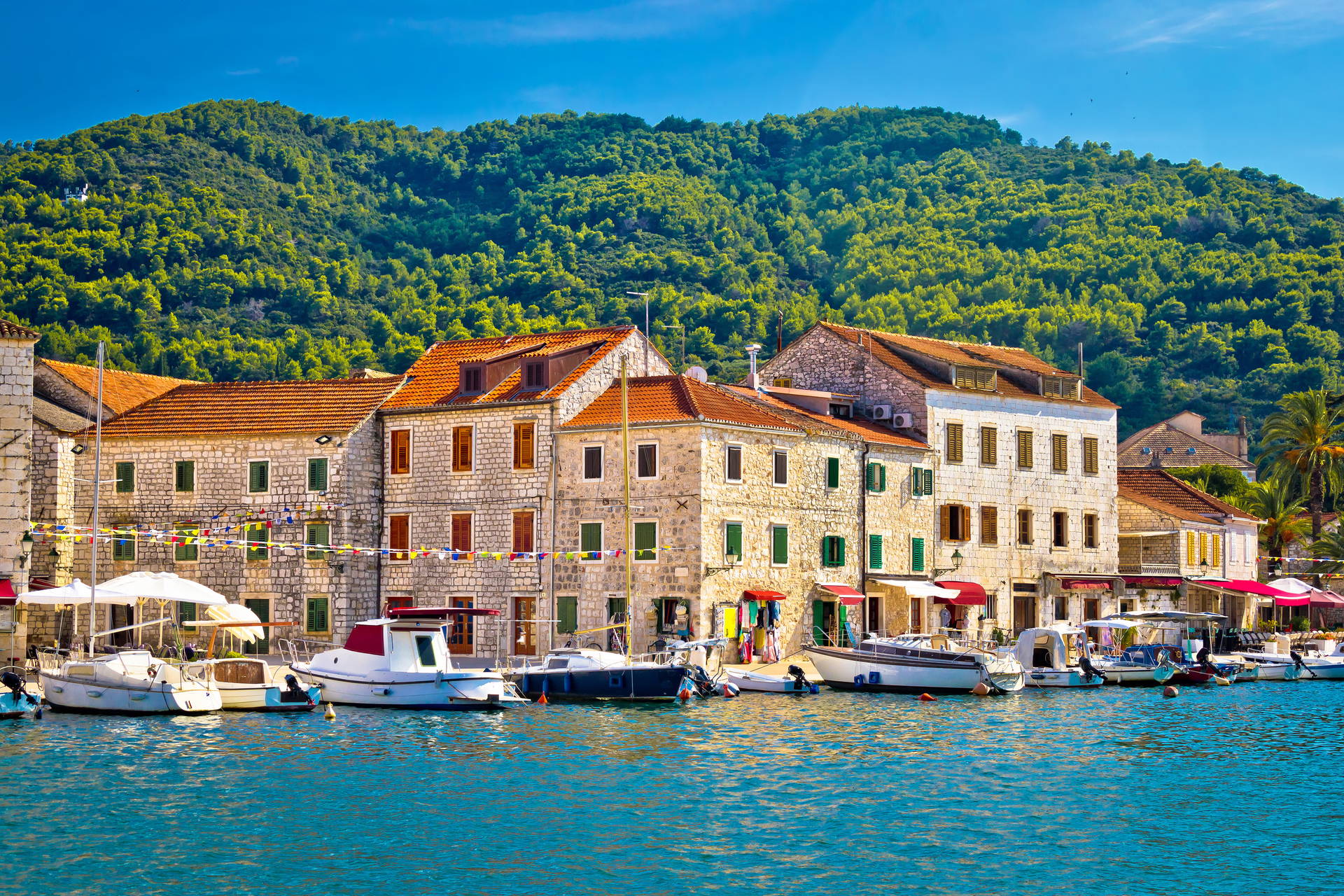 Hvar - Wyspa słońca, wina i lawendy       