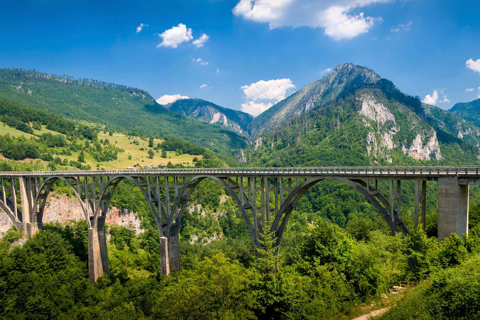 Most na rzece Tarze w Czarnogórze, w tle góry.