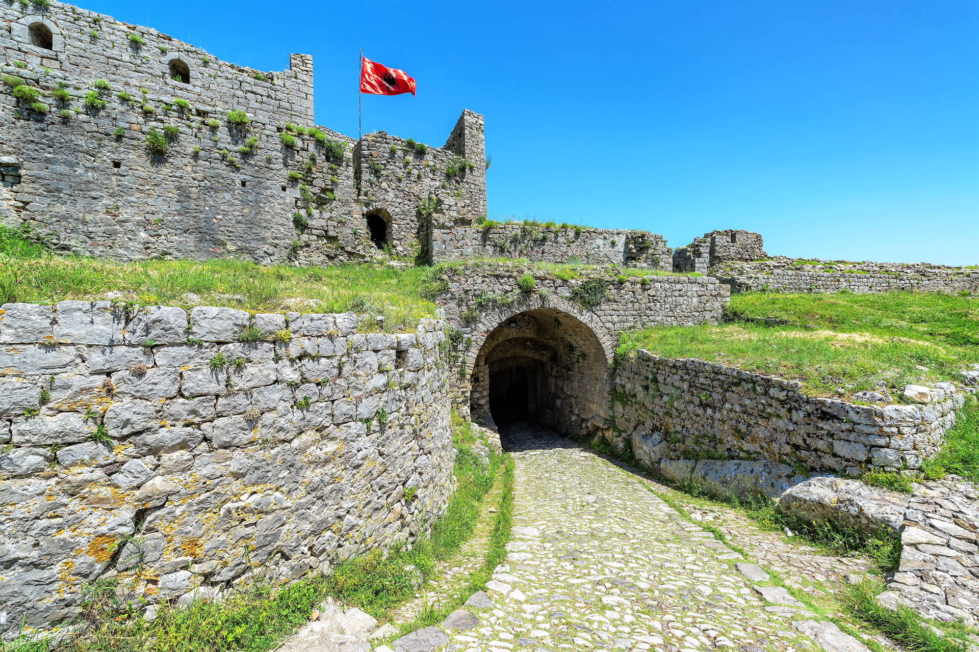 Kamienny zamek w Szkodrze, Albania, z powiewającą czerwoną flagą.