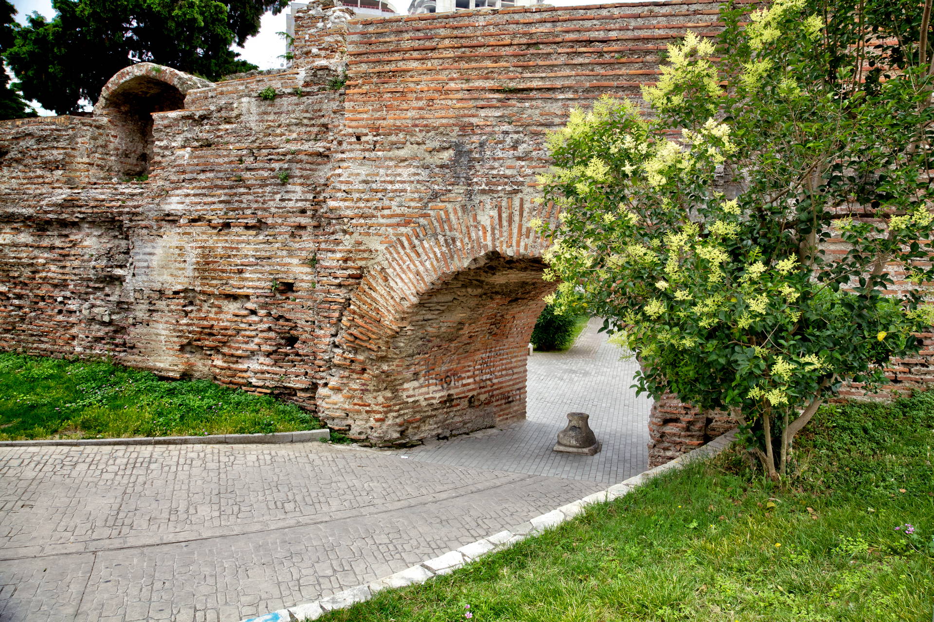 Fragment ceglanego muru z łukiem, obok rośnie drzewo.