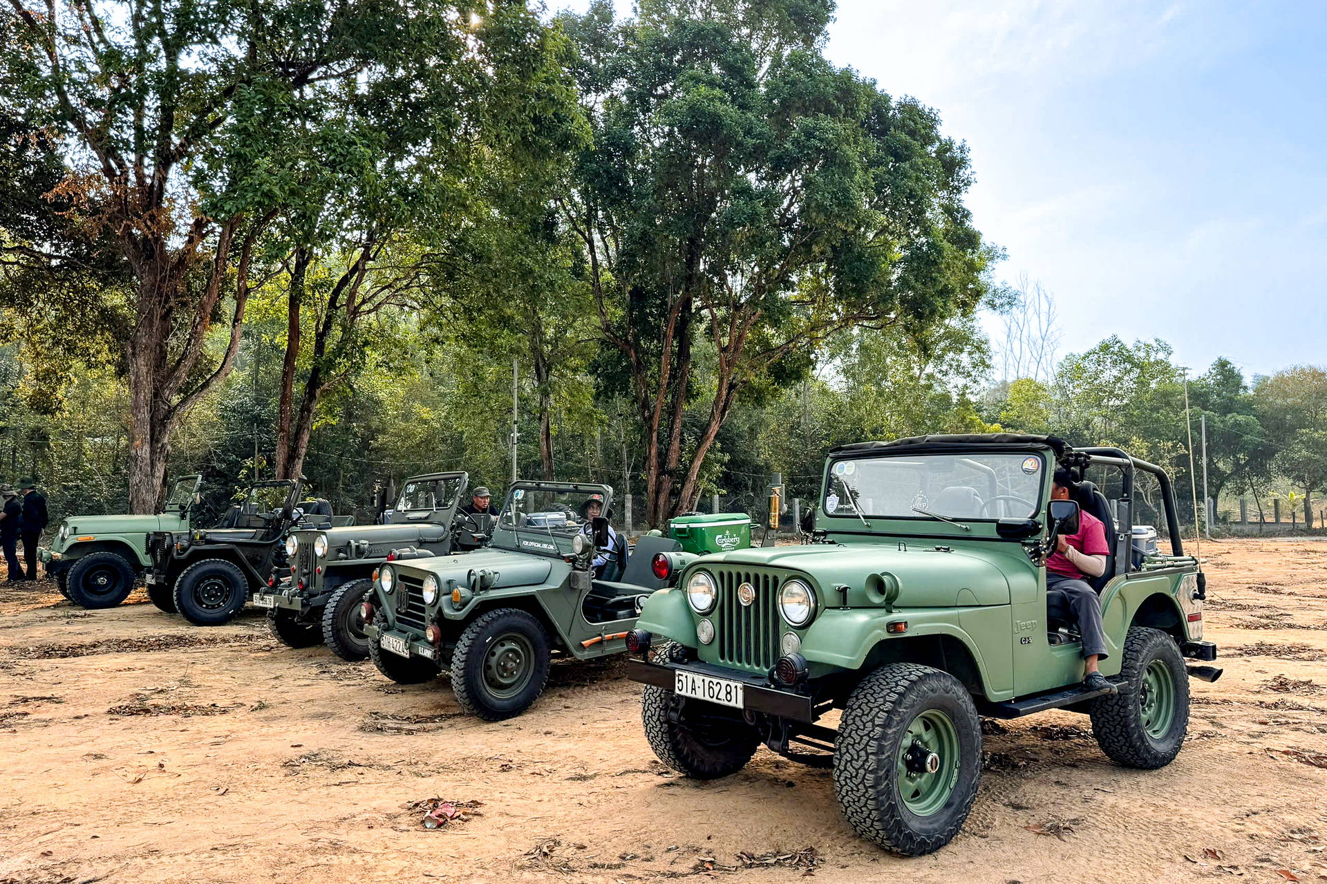 Rząd zielonych jeepów zaparkowany pod drzewami.