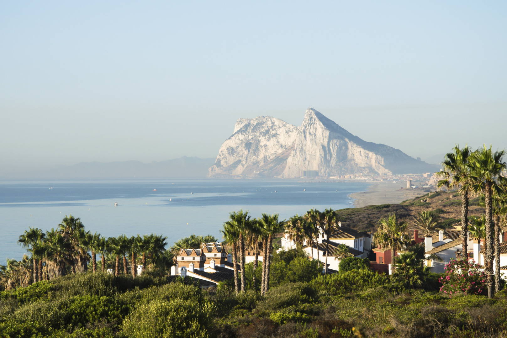 Gibraltar widziany z hiszpańskiego wybrzeża. Na pierwszym planie palmy i budynki.