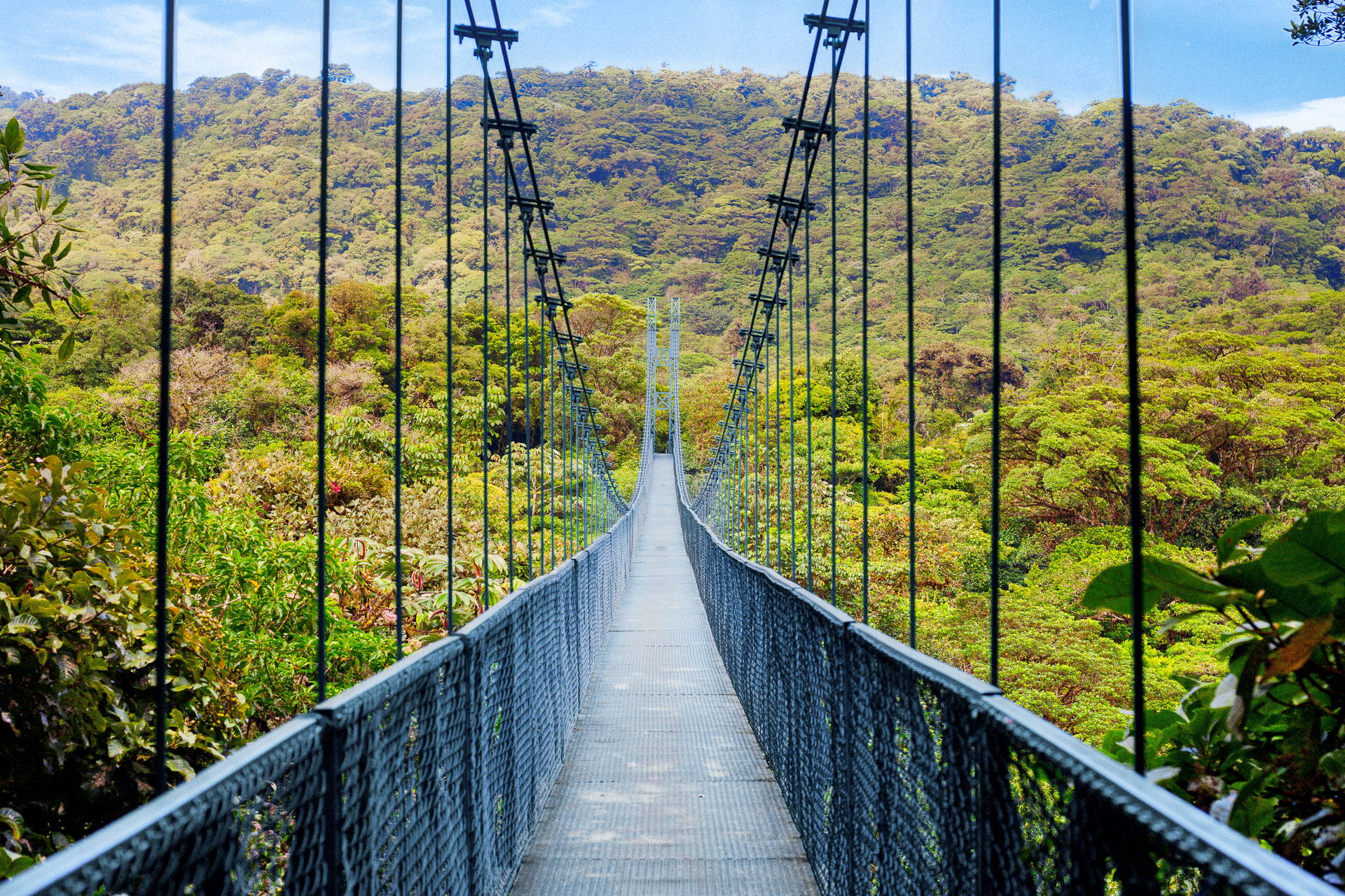 Długi most linowy zawieszony nad lasem tropikalnym.
