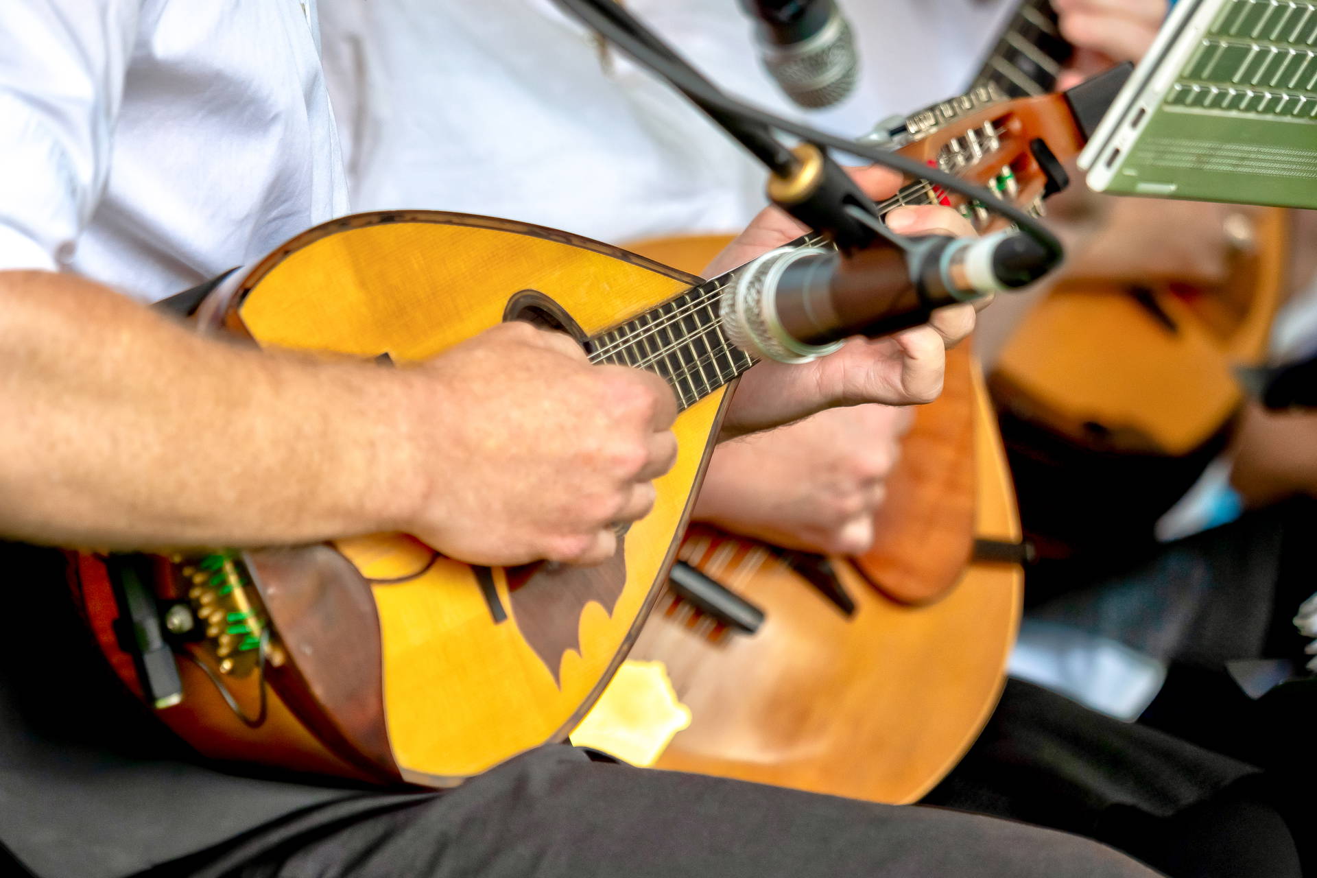 Zbliżenie na dłonie muzyka grającego na mandolinie. Obok widać mikrofon.