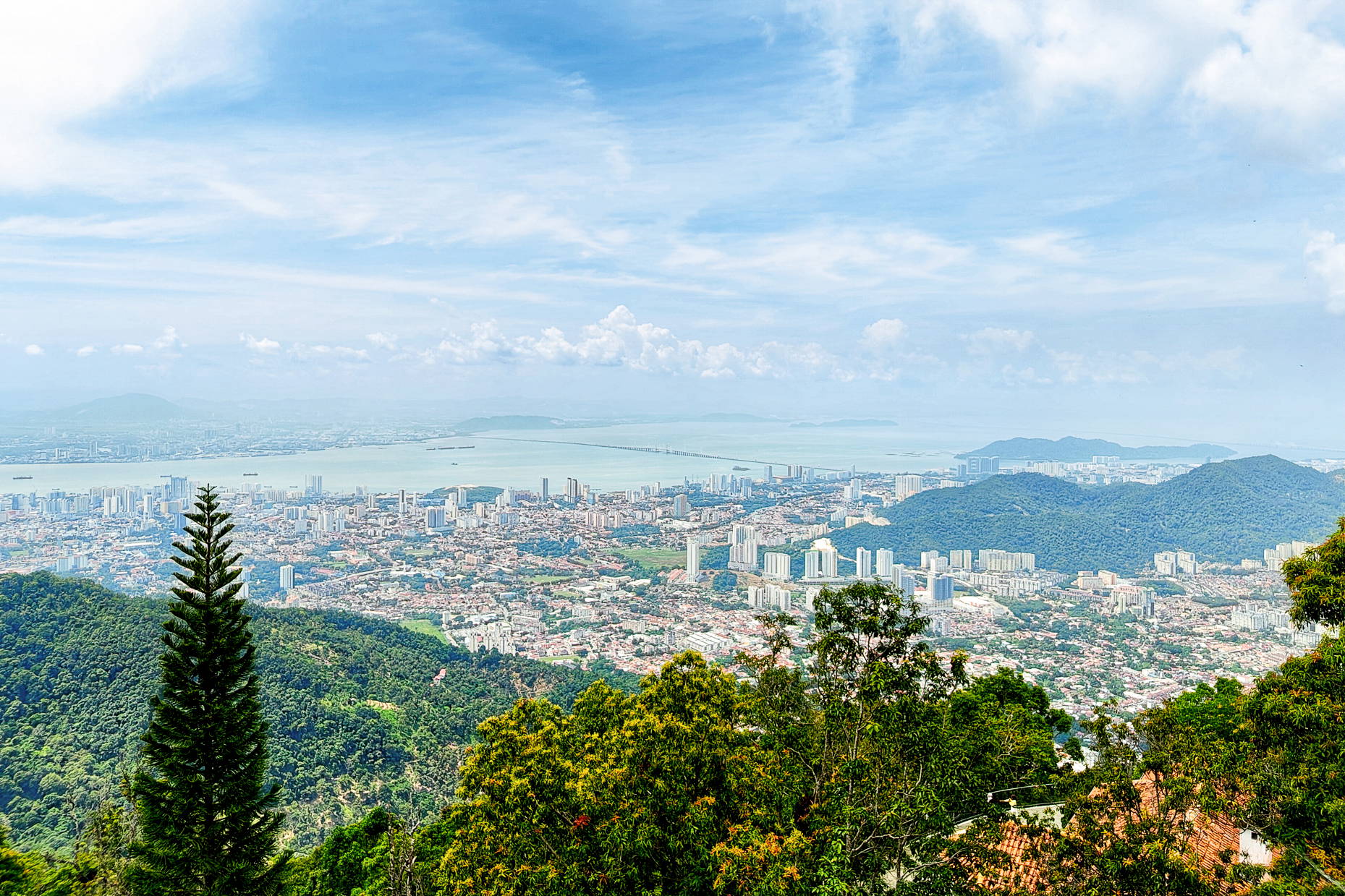 Widok ze wzgórza Penang na panoramę George Town i most, ponad koronami zielonych drzew.