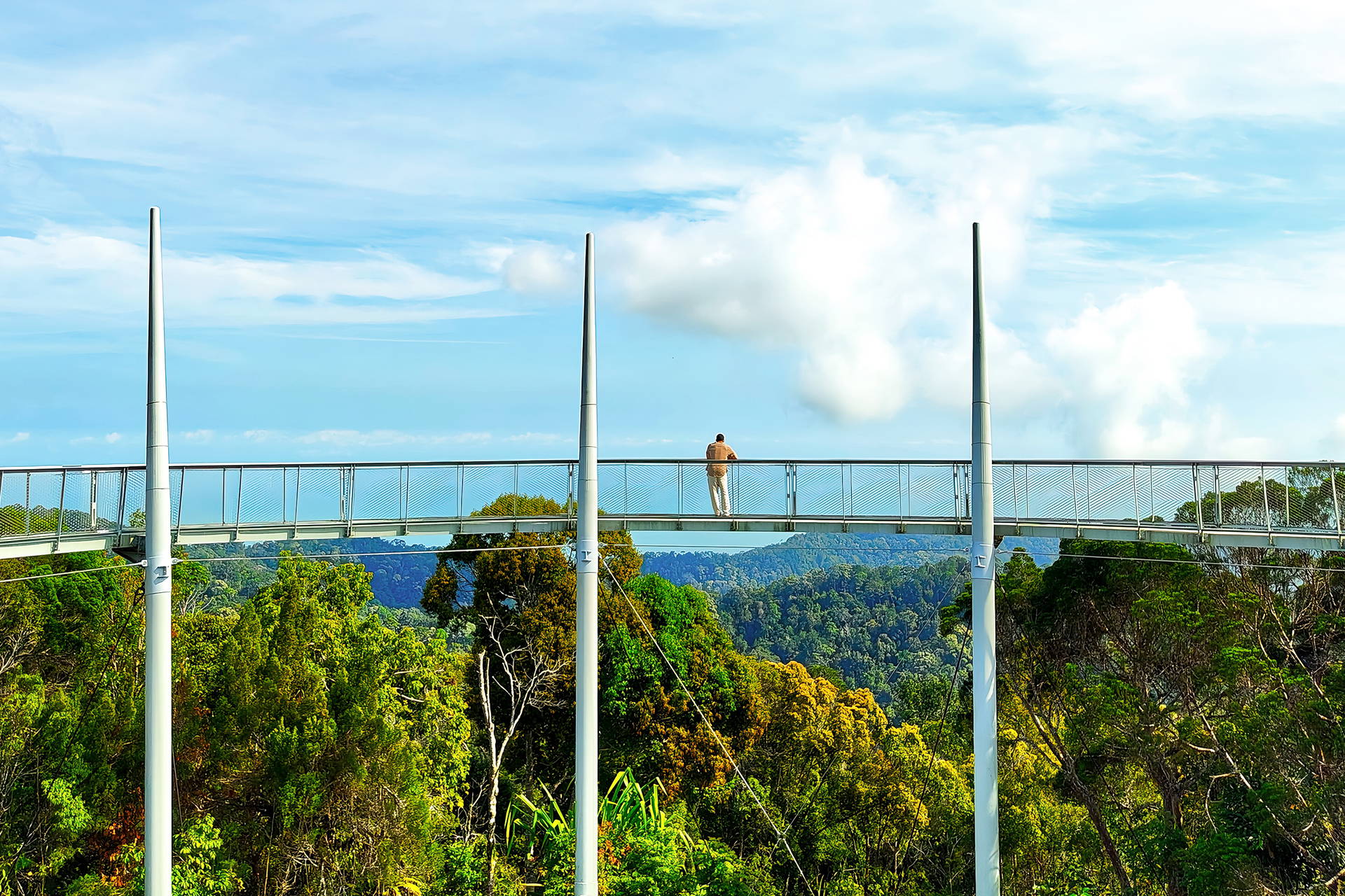 Mężczyzna na moście Langur Way Canopy Walk nad gęstym lasem na wzgórzu Penang.