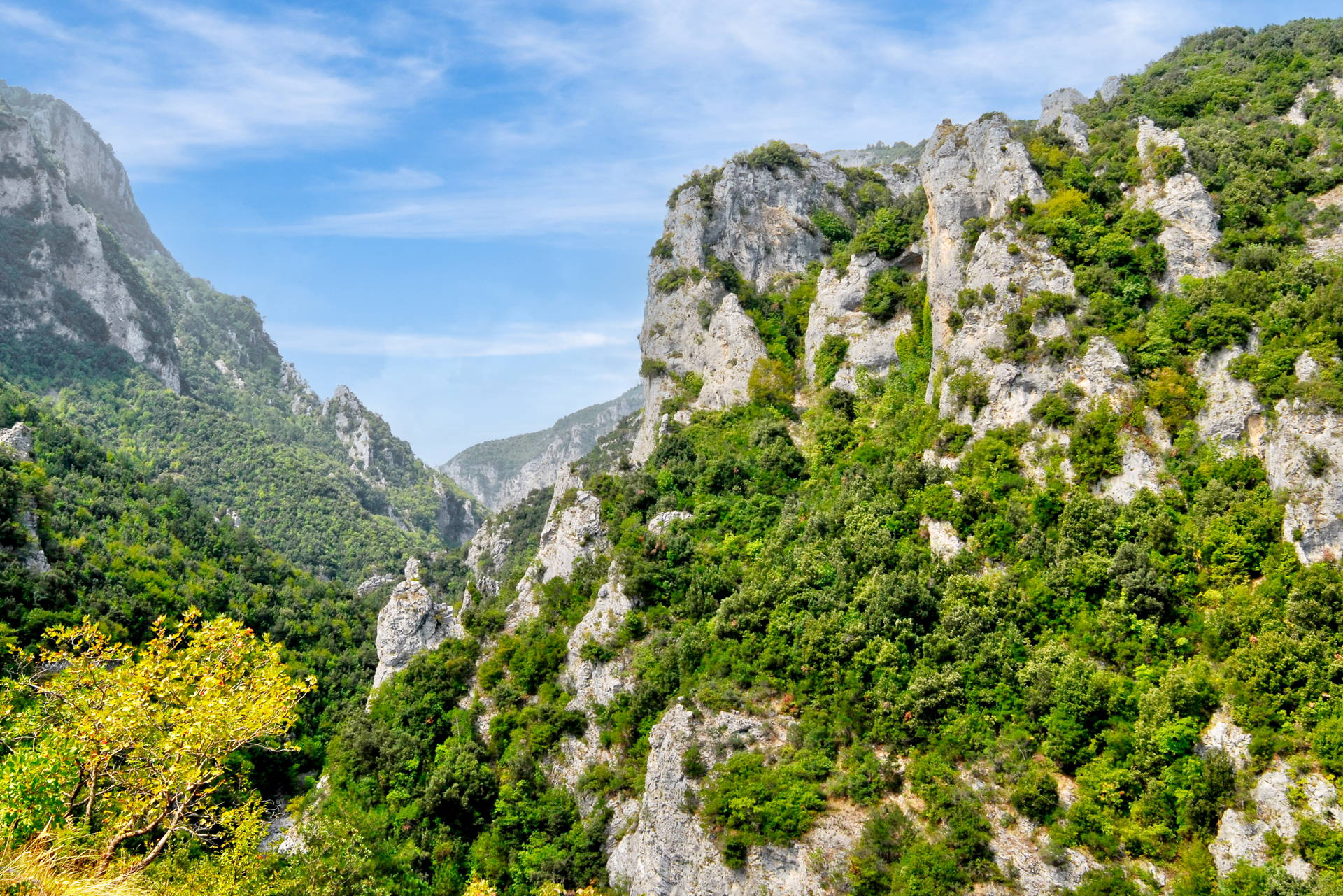 Strome zbocza Wąwozu Vikos w Grecji pokrywa gęsty, zielony las.