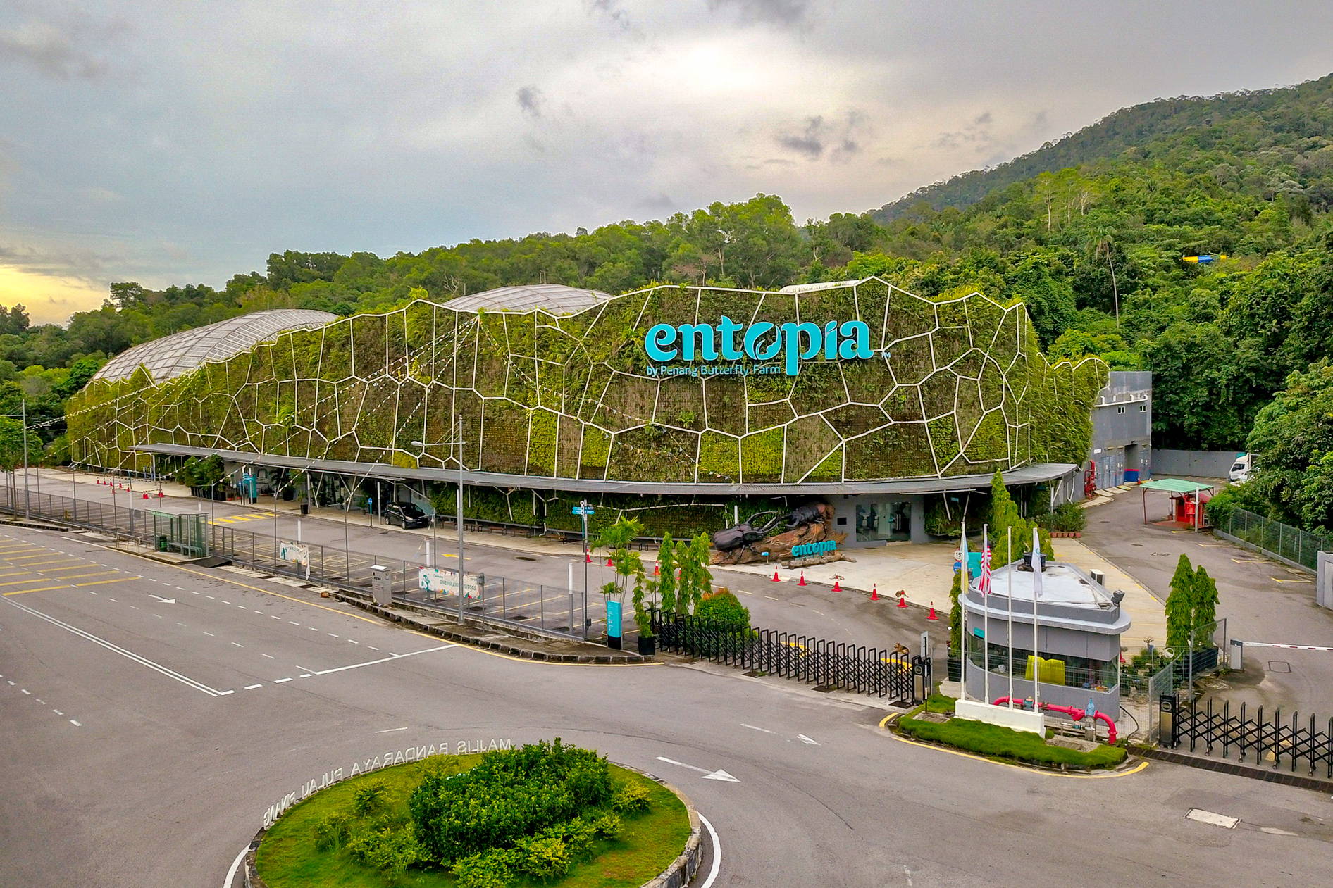 Zielone serce Penang