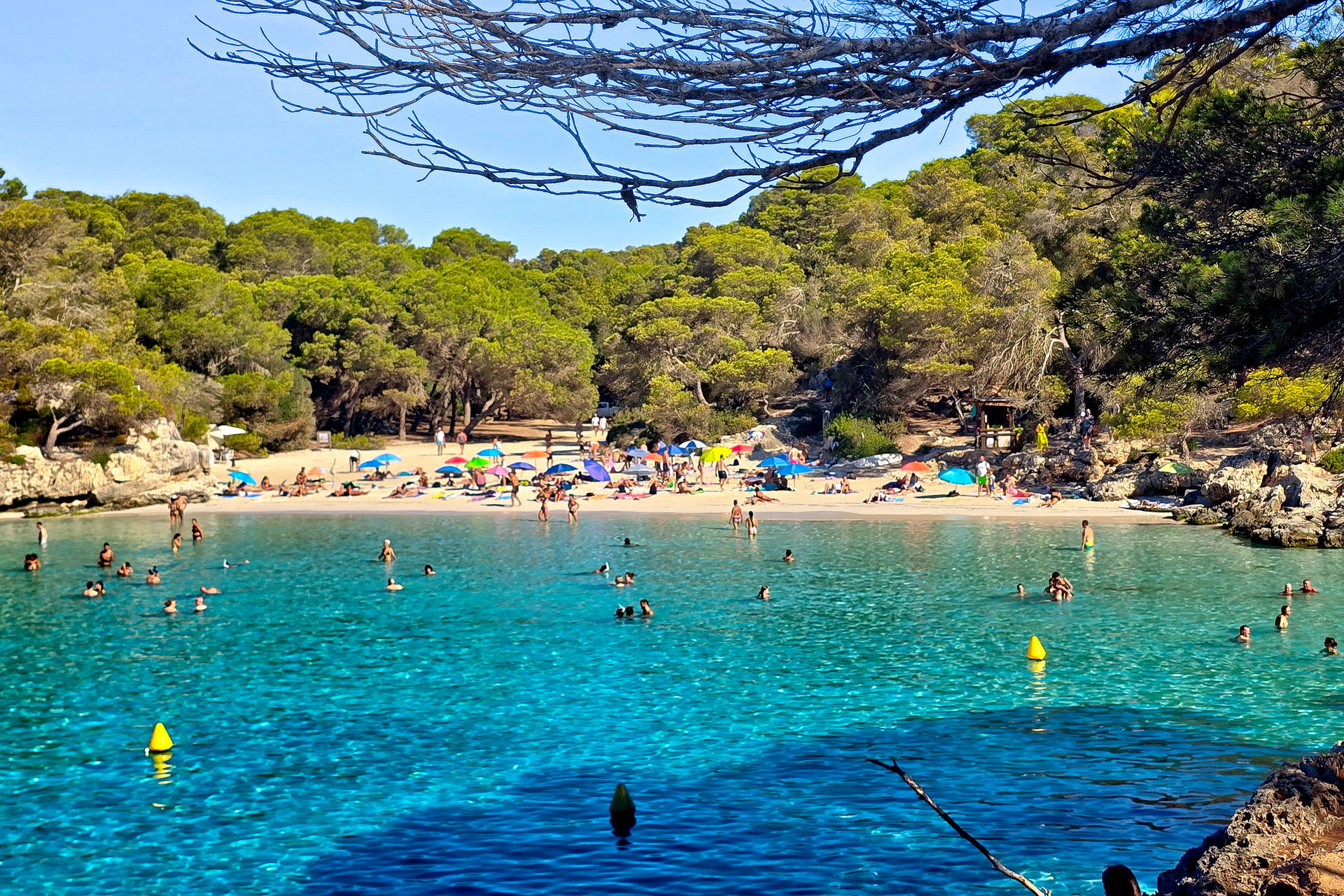 Na zatłoczonej plaży Cala Turqueta na Minorce ludzie kąpią się w turkusowej wodzie i opalają na piasku w otoczeniu sosen.