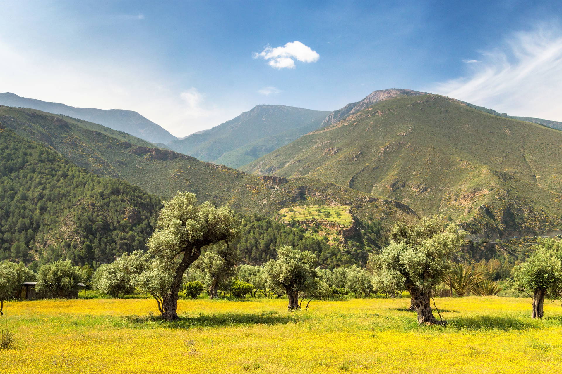 Sierra Nevada i białe wioski Andaluzji