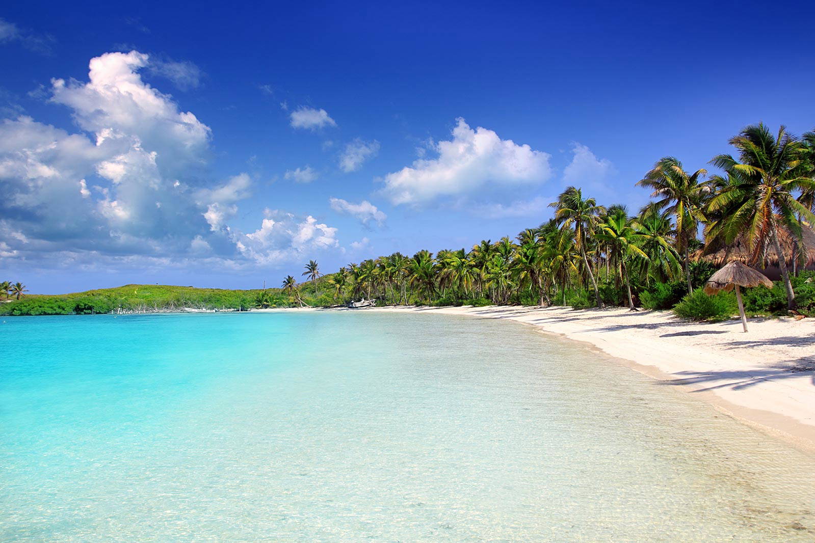 Tropikalna plaża z palmami i turkusową wodą.