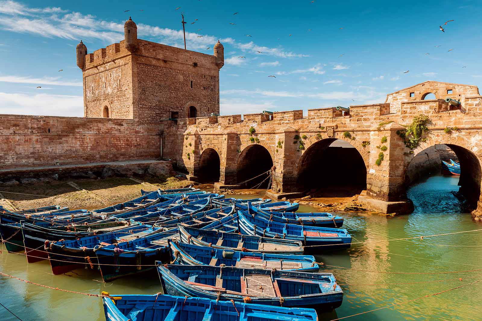 Błękitne łodzie rybackie w porcie u podnóża twierdzy Essaouira w Maroku.