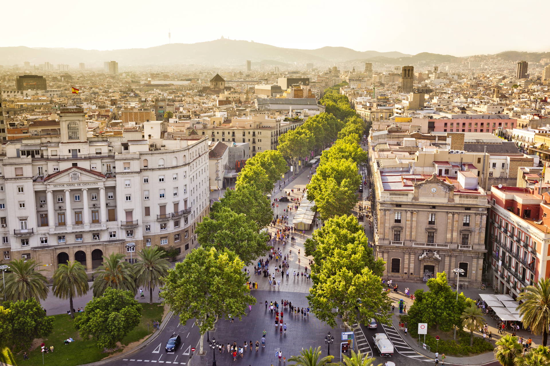La Rambla w Barcelonie widziana z góry.