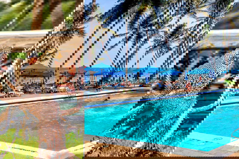 Lampart na drzewie i basen na plaży obok siebie.