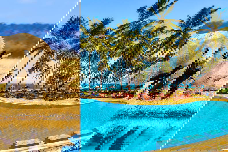 Nosorożec z młodym po lewej stronie i basen z palmami w tle po prawej.