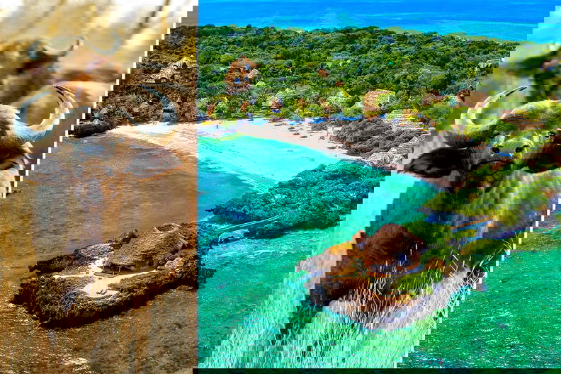 Afrykański bawół na tle tropikalnej plaży i kurortu.