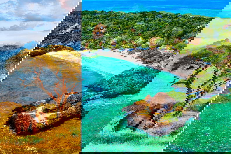 Afrykański krajobraz: słoń i drzewo sawannowe na tle tropikalnej wyspy.