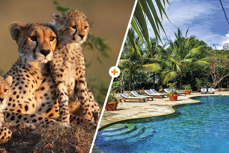 Kenijskie Trio, Chale Island Resort 3 noce + objazd 4 noce