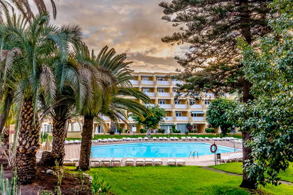 Basen z palmami i leżakami przy hotelu.