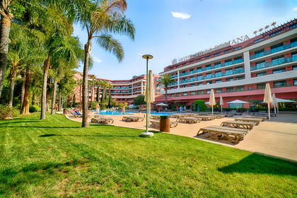 Hotel Villa Romana z basenem otoczony palmami.