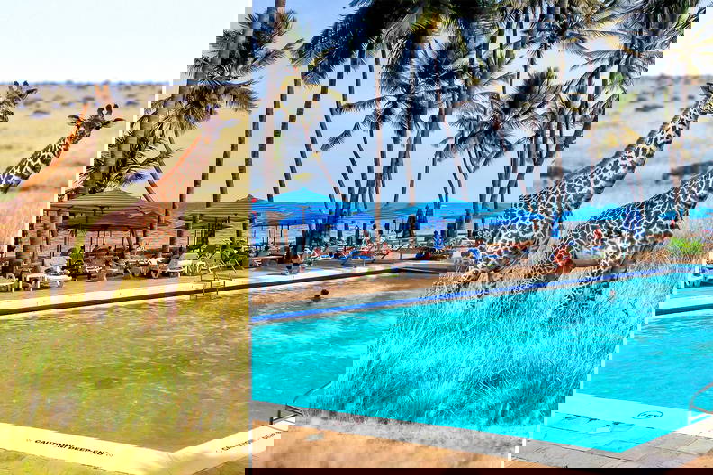 Kolaż: po lewej sawanna z żyrafami, po prawej basen na plaży z palmami.