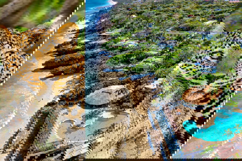 Po lewej stronie głowa i ramiona lamparta, po prawej widok z lotu ptaka na plażę.