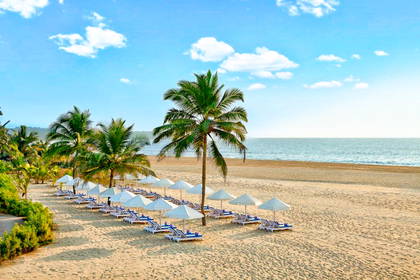 Plaża z palmami, leżakami i parasolami przeciwsłonecznymi.
