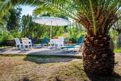 Patio z palmą, stołem, krzesłami i leżakami w słoneczny dzień.