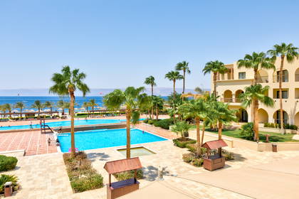 Hotelowy basen z palmami i budynkiem w tle.