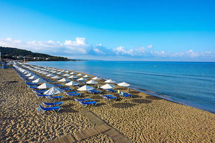 Plaża z rzędami leżaków i parasoli.