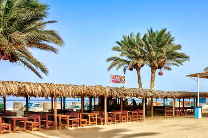 Plaża z palmami i bar Calypso z widokiem na morze.