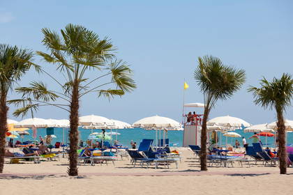 Plaża z palmami, parasolami i leżakami.
