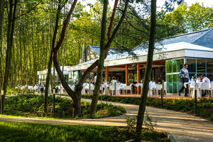 Restauracja z tarasem na obrzeżach lasu.