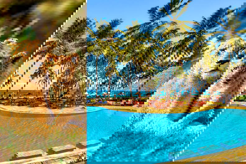 Figury lwa i lwiątka obok basenu z palmami.