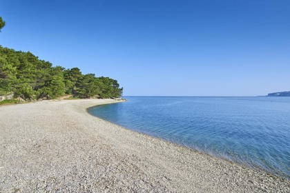 Żwirowa plaża z drzewami nad spokojnym morzem. Błękitne niebo.