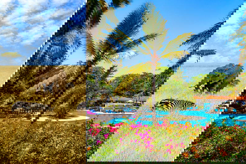 Sawanna ze słoniem i zebrami zestawiona z tropikalnym kurortem z basenem i palmami.