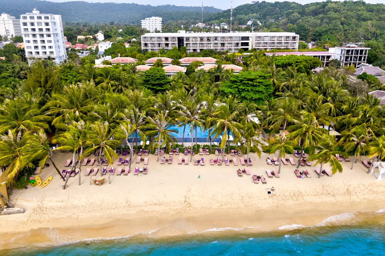 Widok z lotu ptaka na plażę z palmami i leżakami. W tle zabudowania.