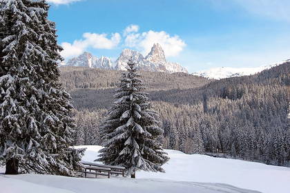 Hotel Stella Alpina Bellamonte