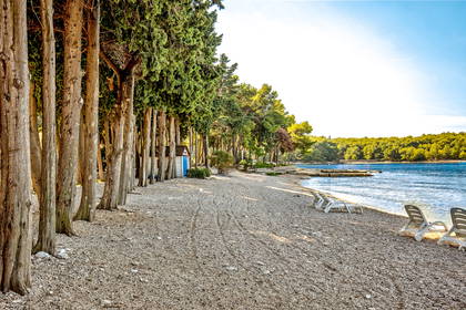 Plaża z drzewami, leżakami i przebieralnią.