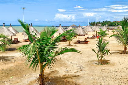 Plaża z parasolami, leżakami i palmami.