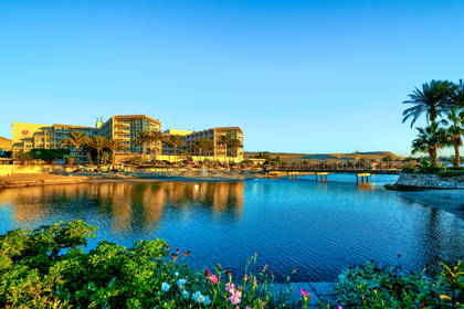 Hotel z palmami nad brzegiem morza.