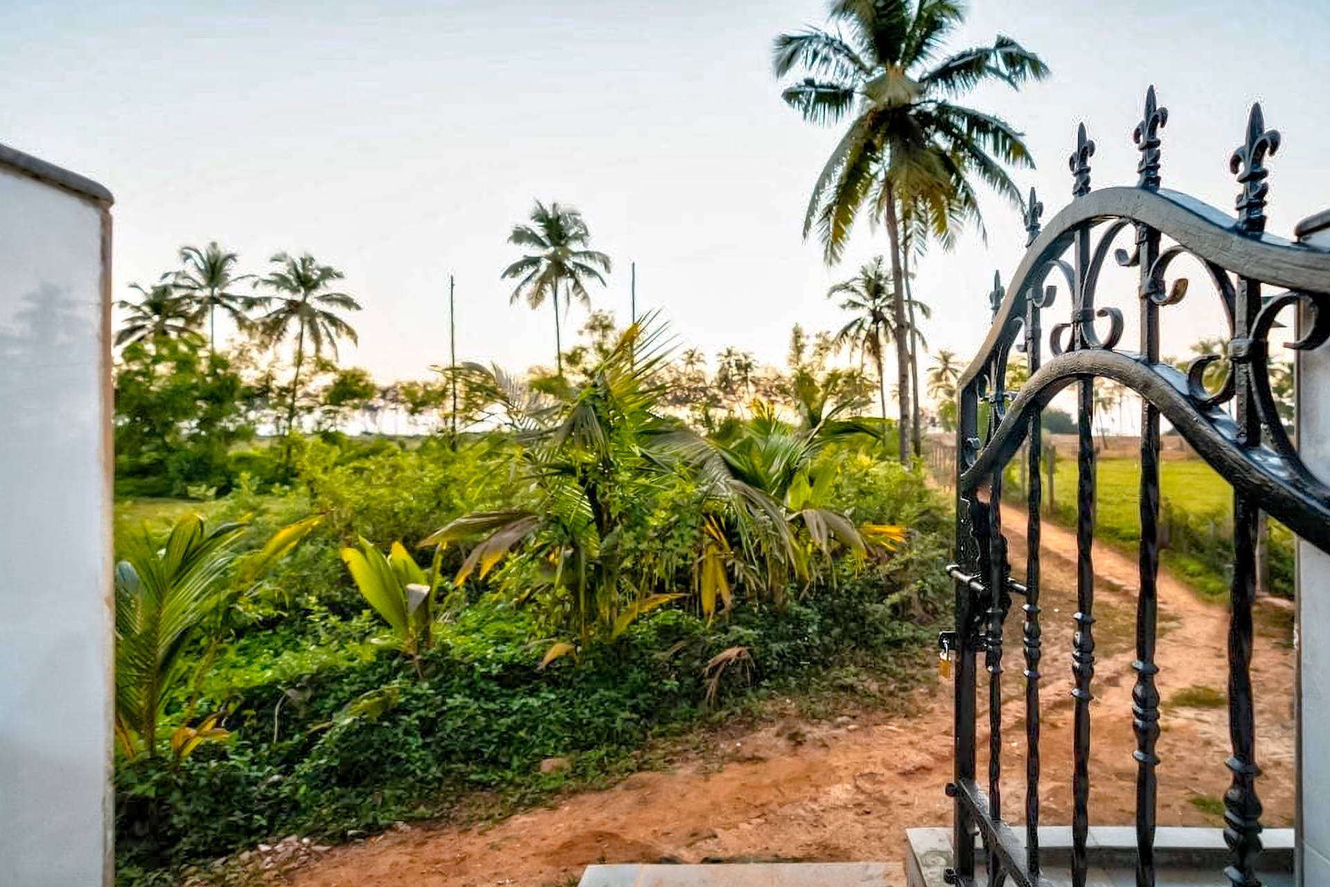 Coconut Grove Beach Resort