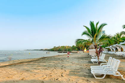 Plaża z białymi leżakami i palmami. W tle budynek.