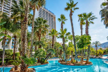 Turkusowy basen, palmy i hotel Melia Benidorm w tle.
