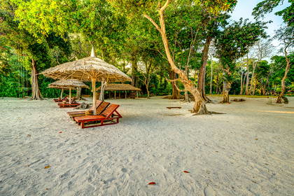Plaża z leżakami i słomianymi parasolami.