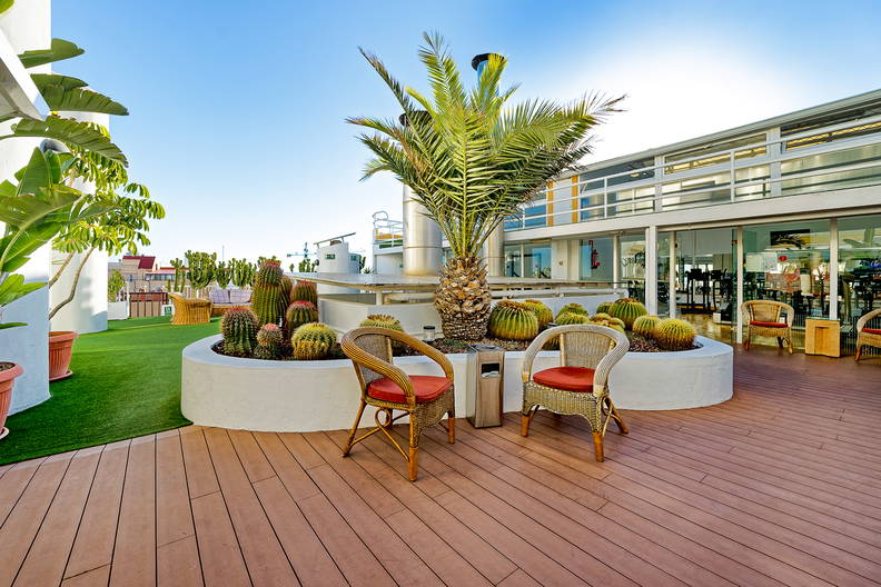 Taras z palmą, kaktusami i wiklinowymi fotelami.