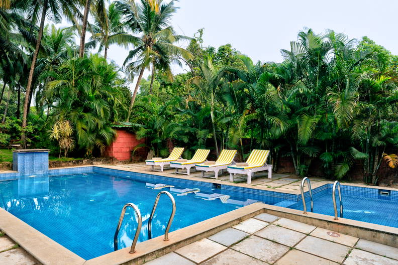 Basen z leżakami wśród tropikalnej roślinności.
