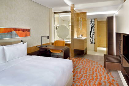 Pokój hotelowy z łóżkiem, biurkiem, łazienką i dywanem we wzory.